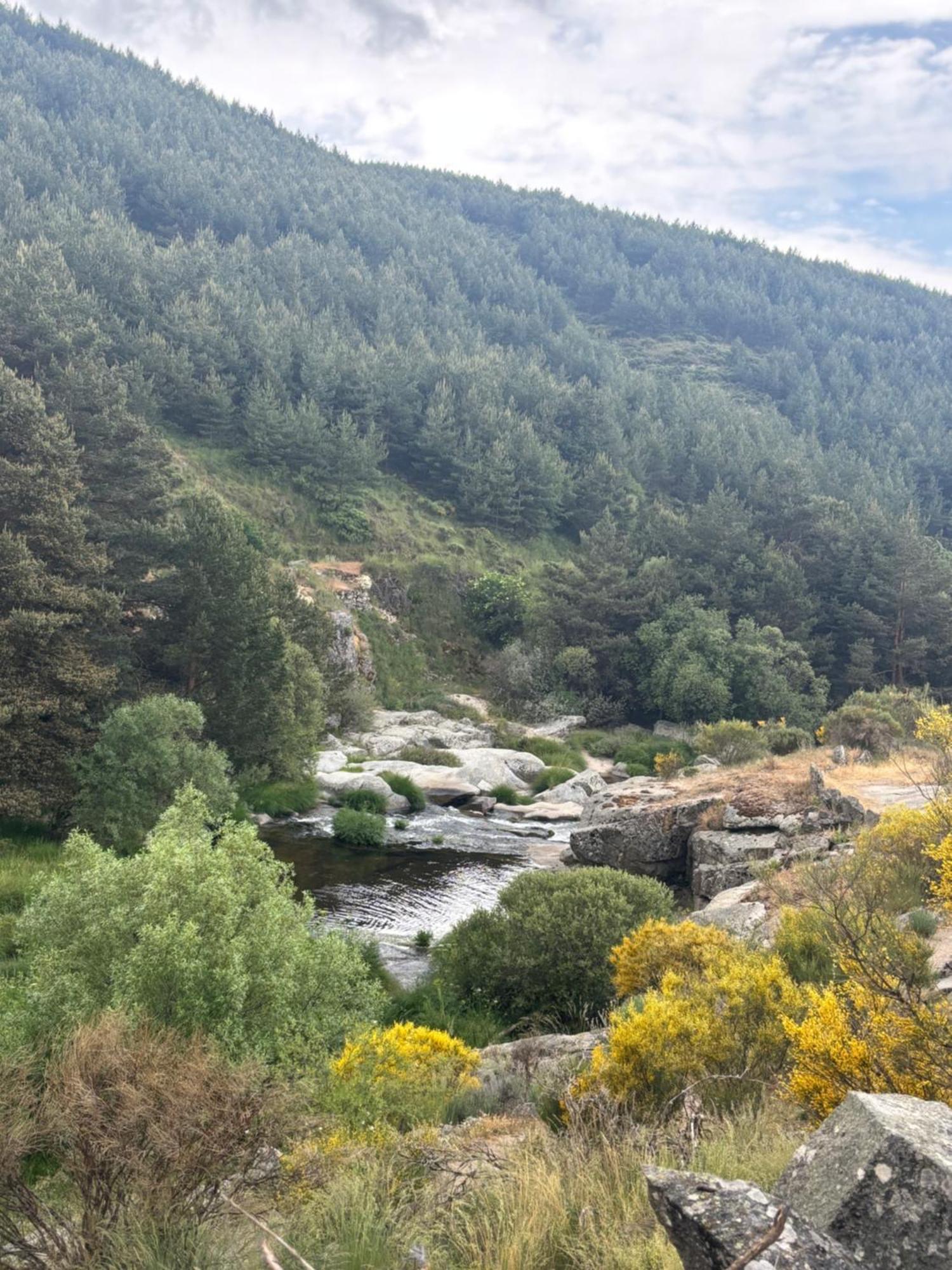 Villa De Gredos Navarredonda de Gredos Eksteriør bilde